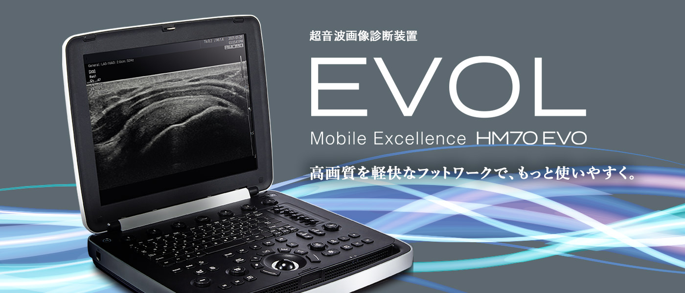 EVOL導入の補助金・助成金活用のご案内