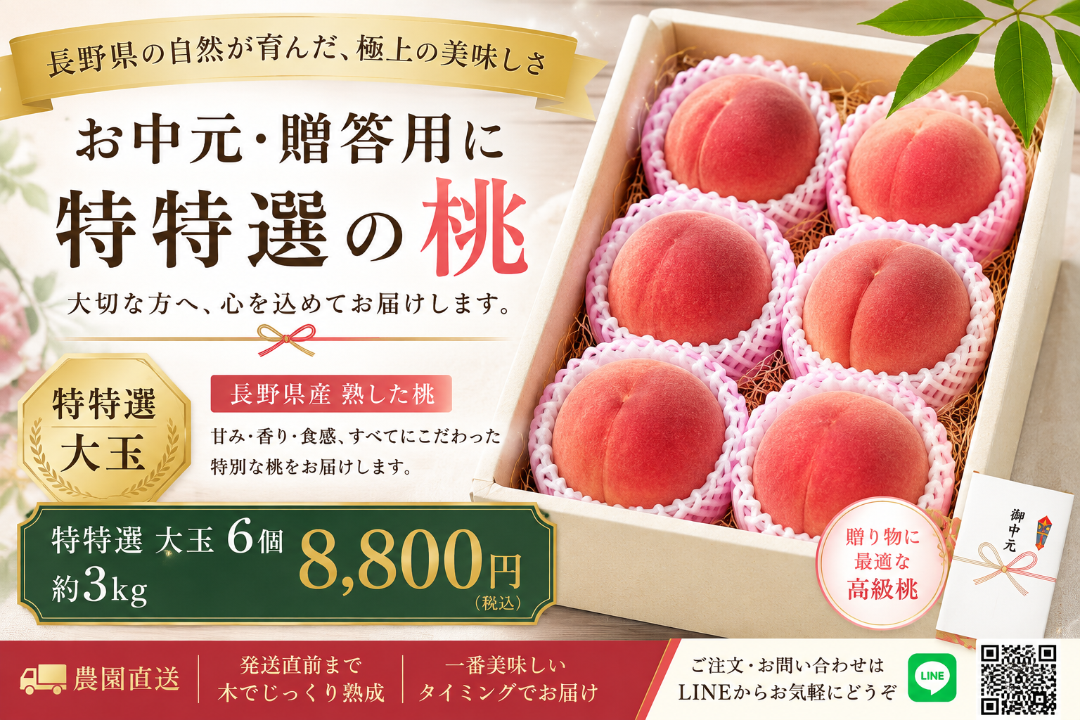 北村農園 特特選大玉 川中島白桃6個 約3kg 8800円 お中元・贈答用